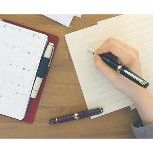SAILOR Fountain Pen Professional Gear Slim Mini Gold Fountain Pen - Black - Medium Fine（11-1303-320）