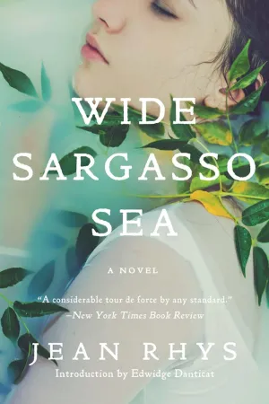 Wide Sargasso Sea Paperback  January 25, 2016