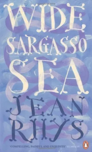 Wide Sargasso Sea (Penguin Essentials) by Rhys, Jean [07 April 2011] Mass Market Paperback